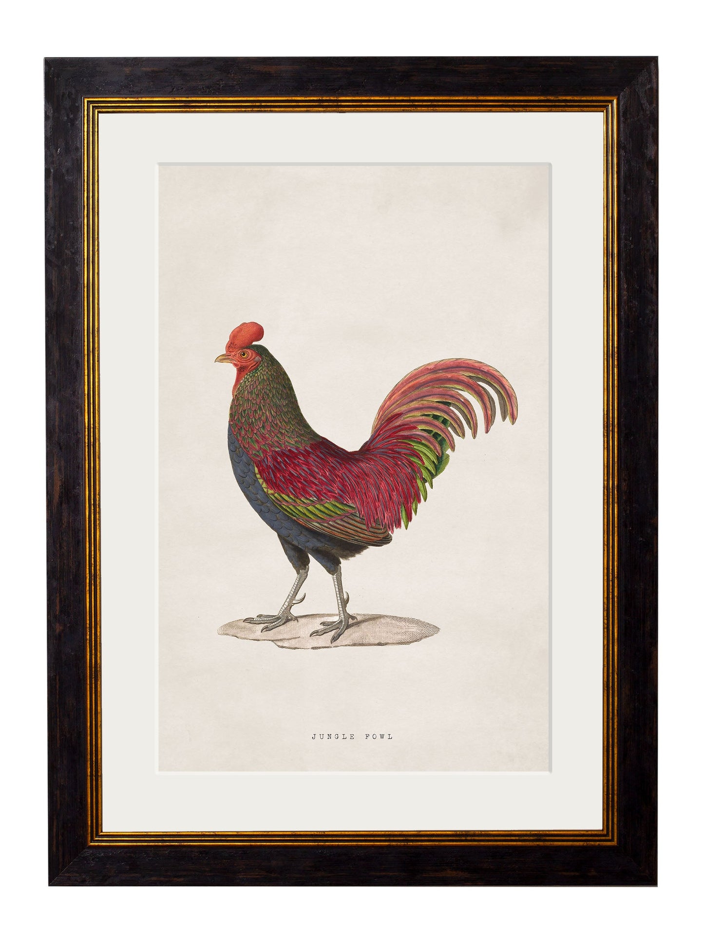 c.1838 Junglefowl styled view – Leya Buster Interiors