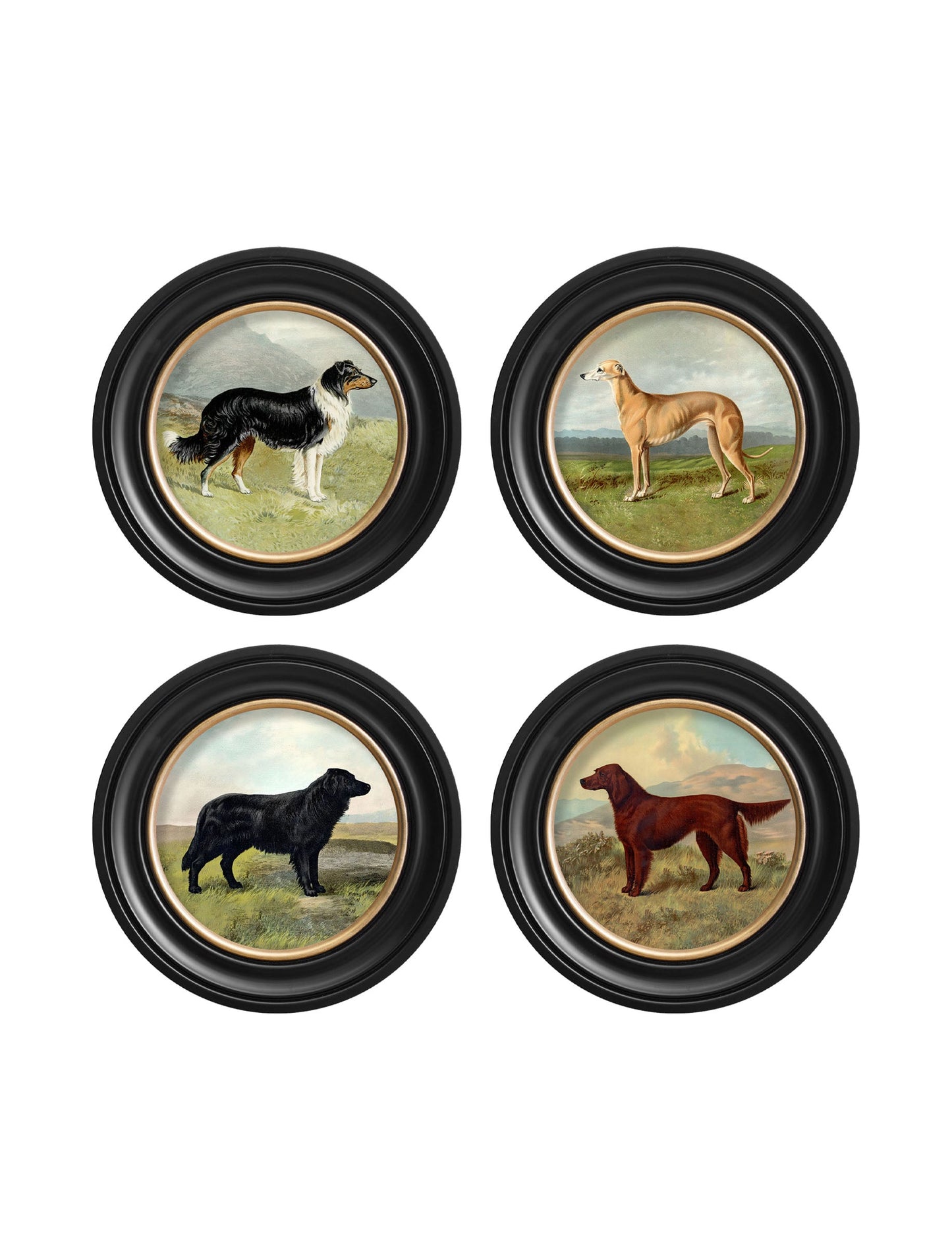 c.1881 Working Dogs – Round Frame styled view – Leya Buster Interiors
