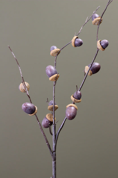 Woodland Acorn Branch – Brown