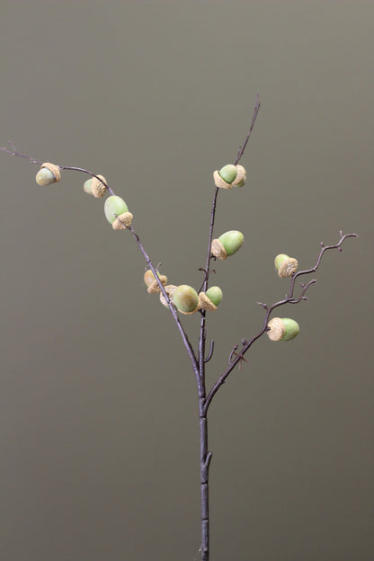 Woodland Acorn Branch – Green