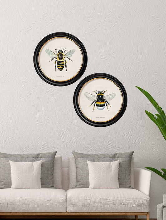 British Bees Round Framed Pictures