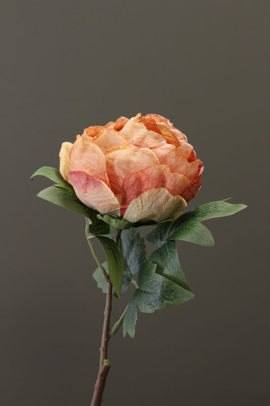 Vintage Peony Bud Stem – Burnt Orange
