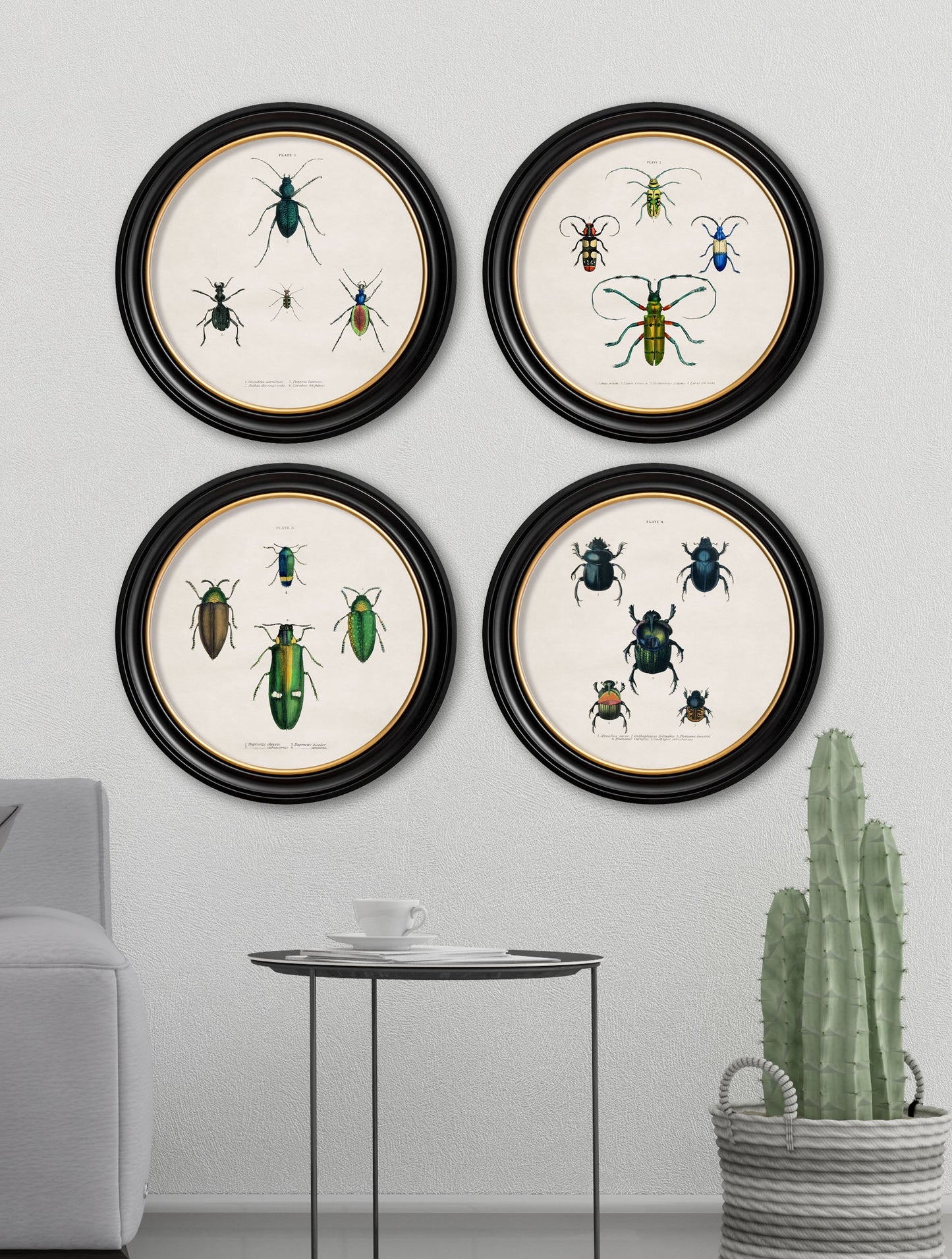 c.1836 Beetle Plates – Round Frame – framed wall art at Leya Buster Interiors