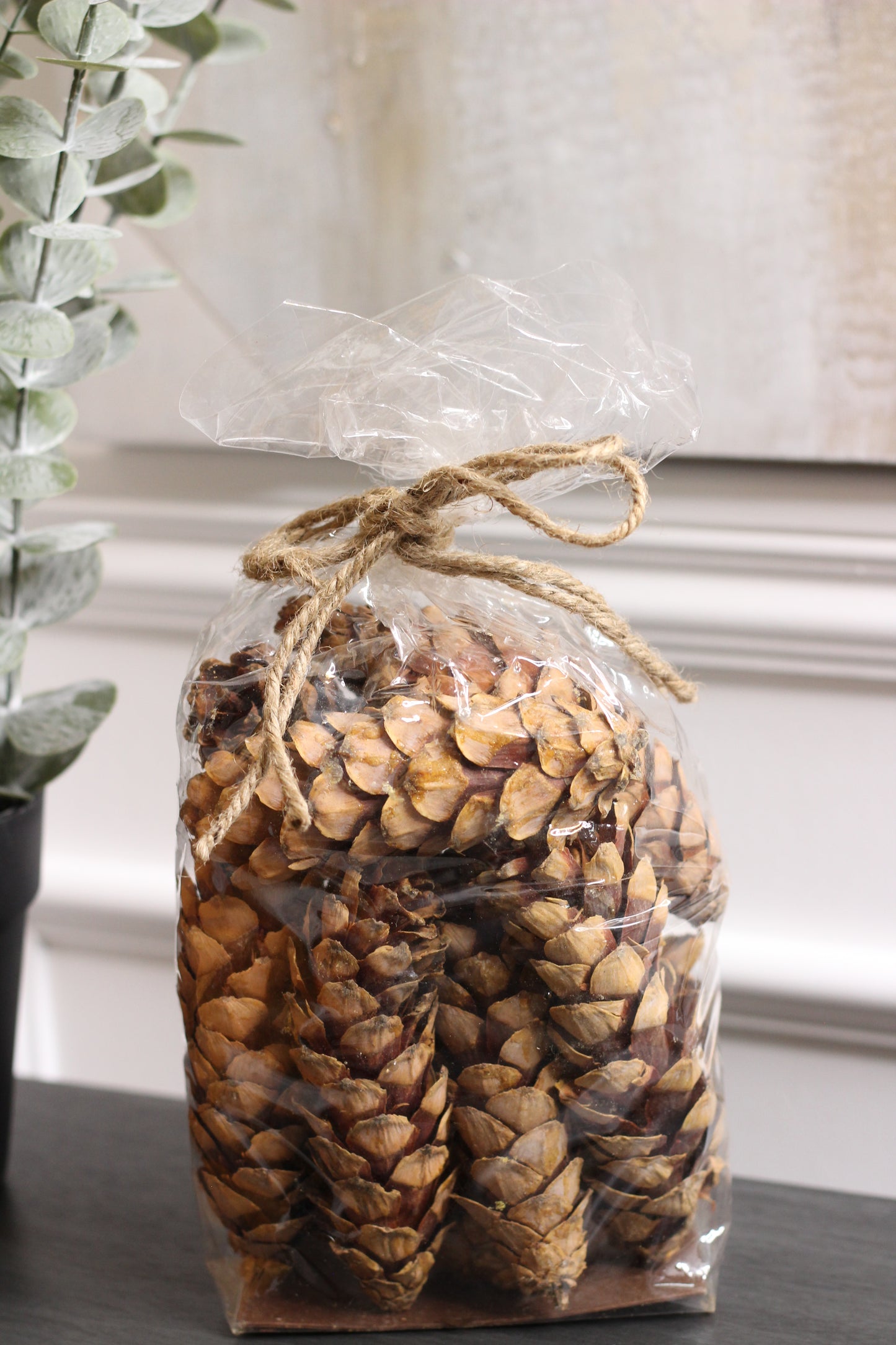 Bag Of Natural Cones