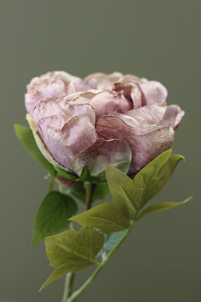 Vintage Peony Bud Stem – Dusty Mauve