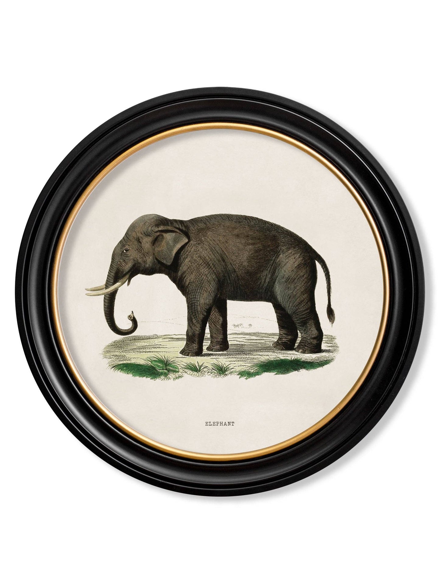 Set Of 2 Elephants Round Framed Pictures