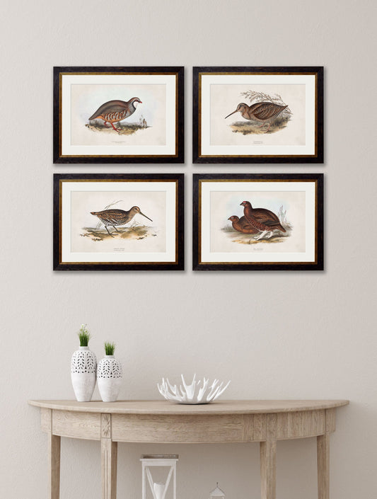 c.1837's British Game Birds – framed wall art at Leya Buster Interiors