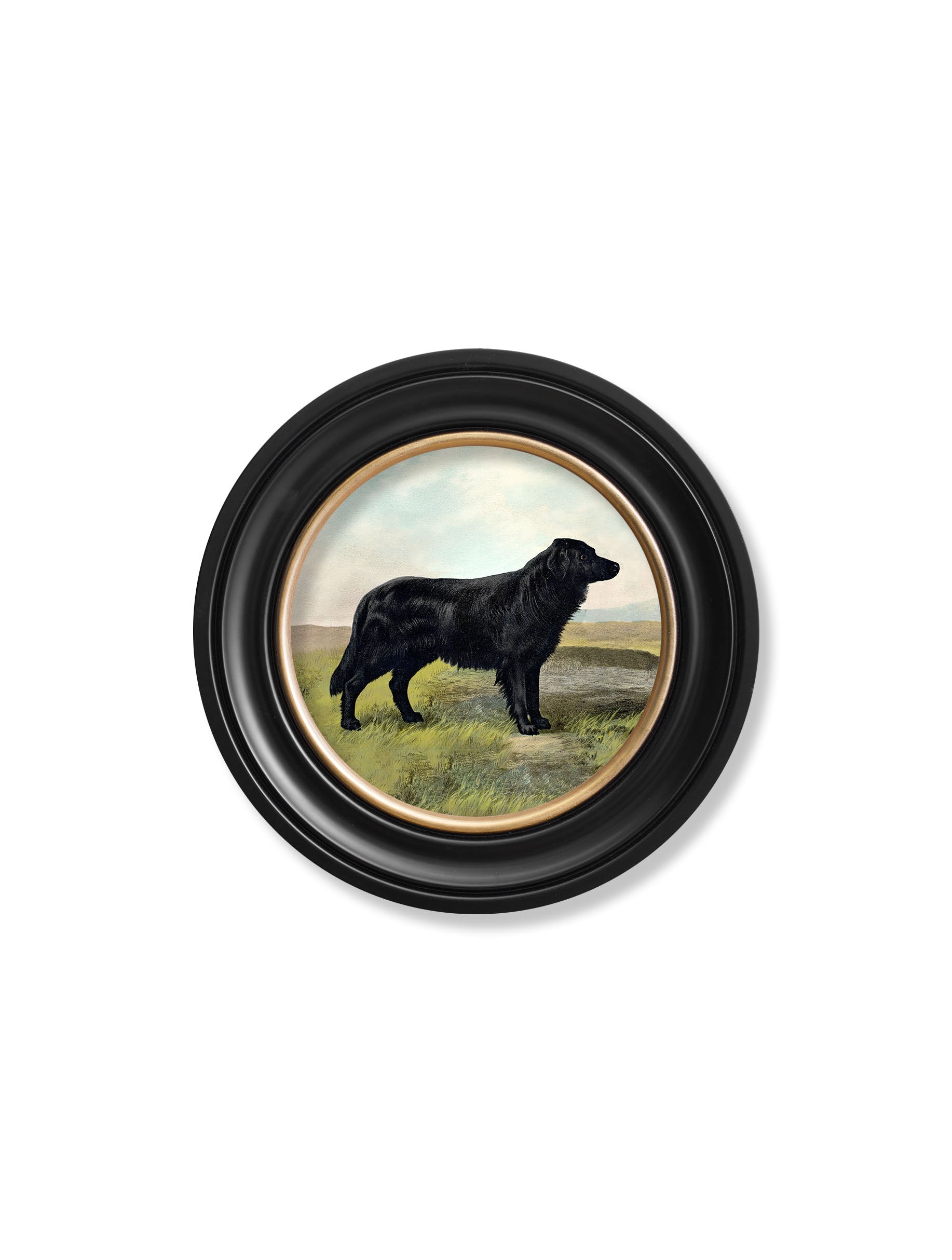 c.1881 Working Dogs – Round Frame styled view – Leya Buster Interiors