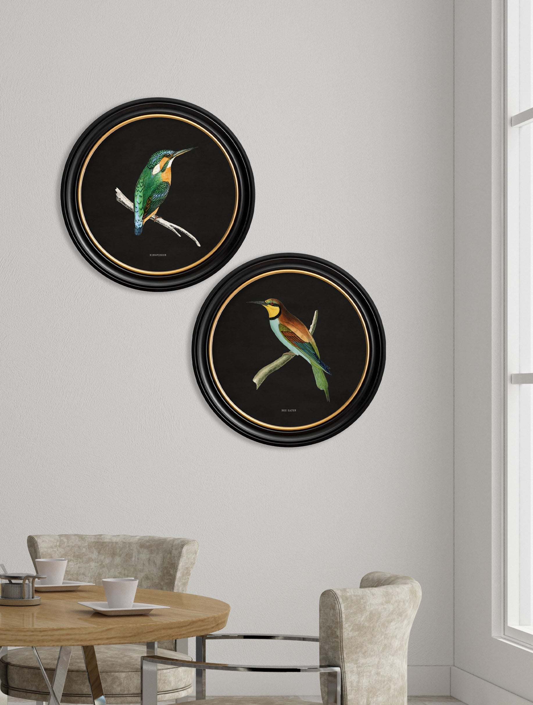 c.1870 Kingfisher and Bee Eater – Black – framed wall art at Leya Buster Interiors
