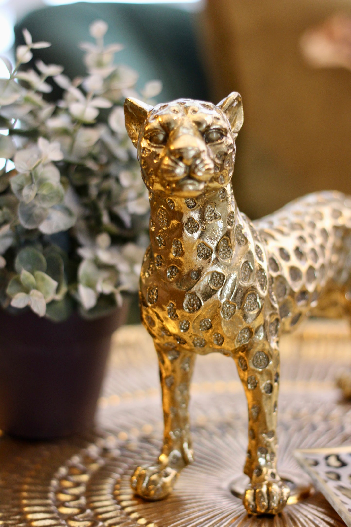 Gold Leopard