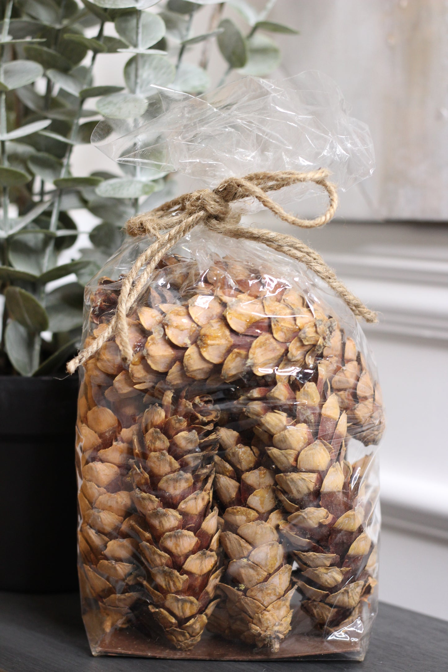 Bag Of Natural Cones