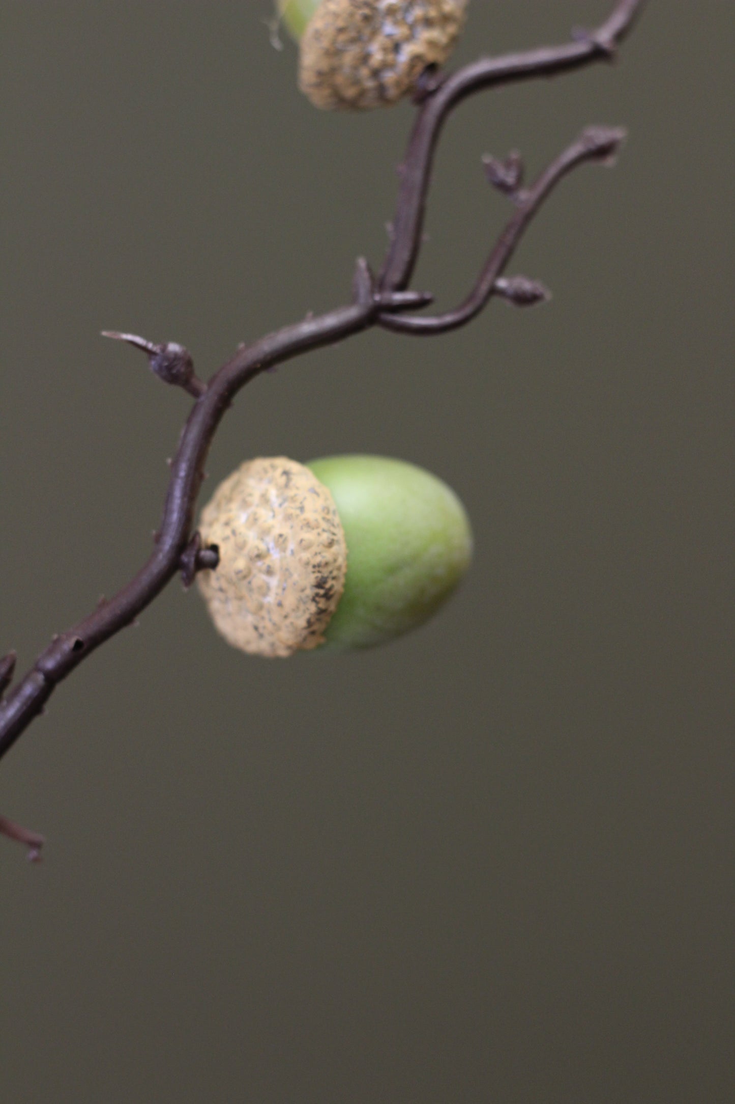 Woodland Acorn Branch – Green
