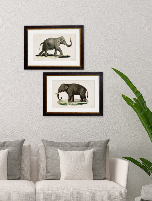 c.1846 Elephants – framed wall art at Leya Buster Interiors