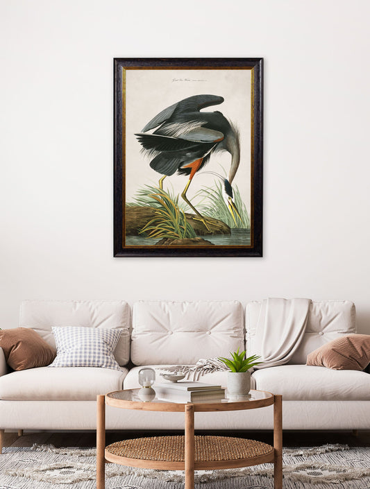 c.1838 Audubon's Great Blue Heron – framed wall art at Leya Buster Interiors