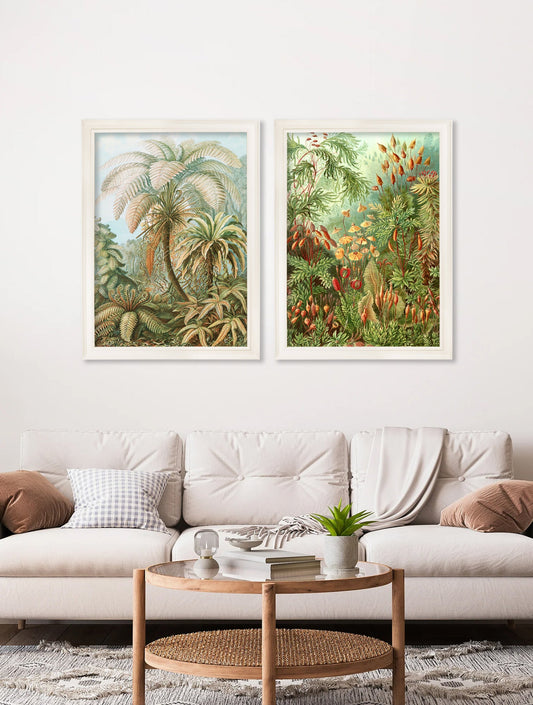 C.1904 Study Of Ferns Print