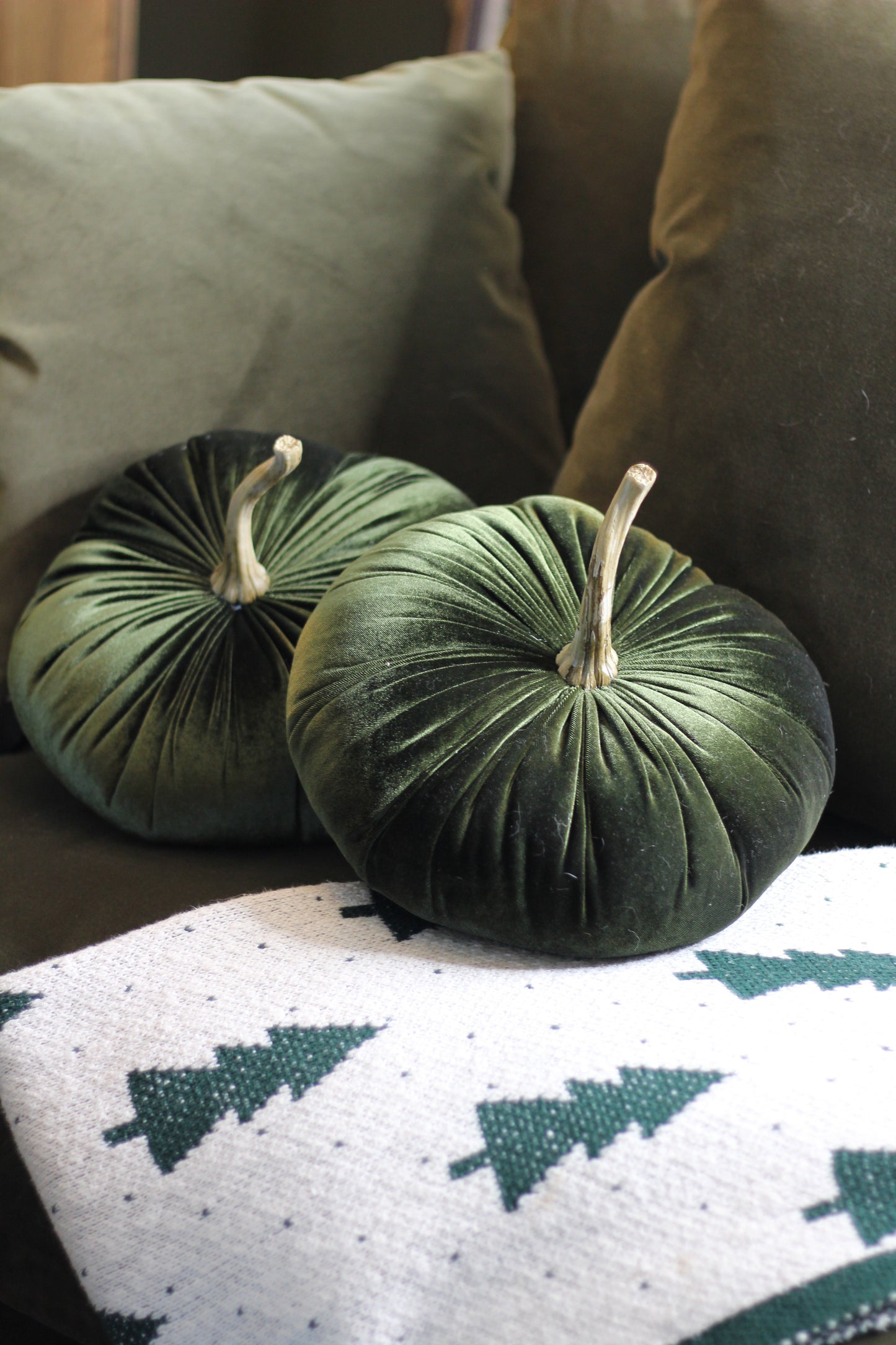 Green Velvet Pumpkin