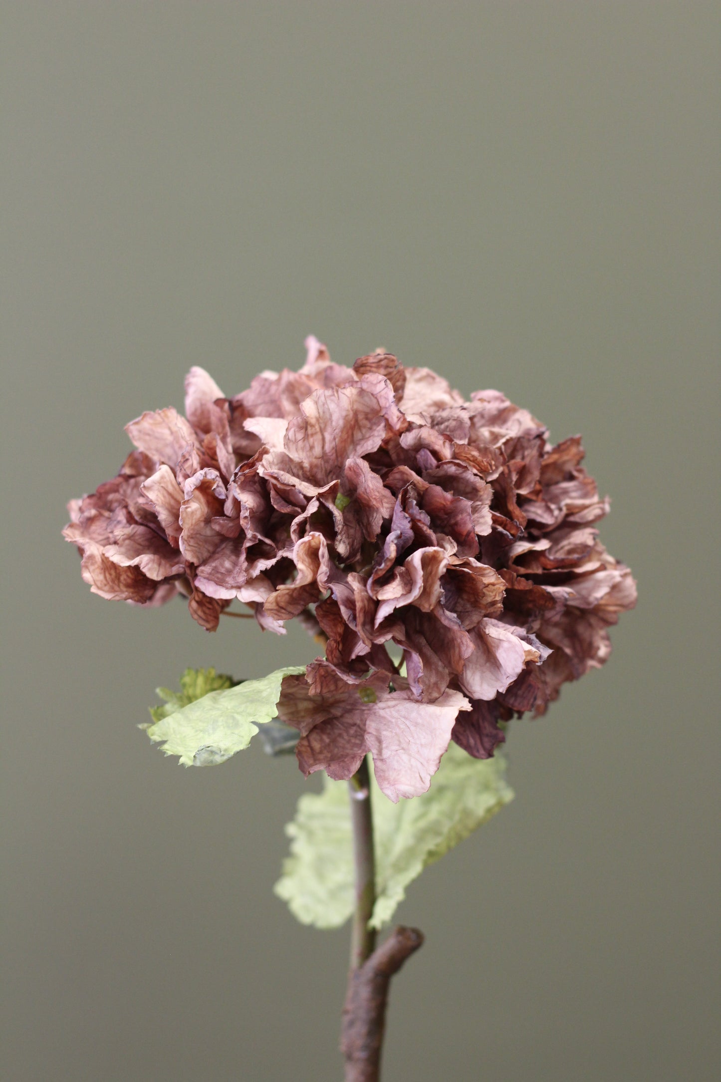 Rustic Hydrangea Stem – Mocha