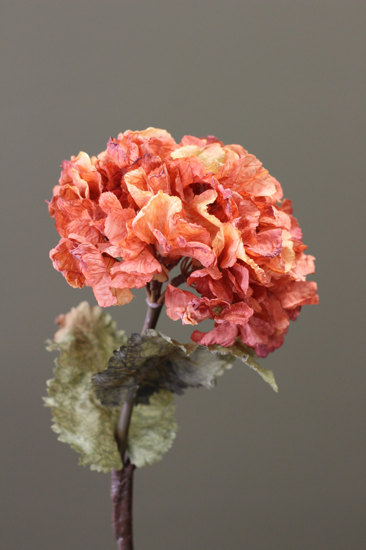 Rustic Hydrangea Stem – Burnt Orange