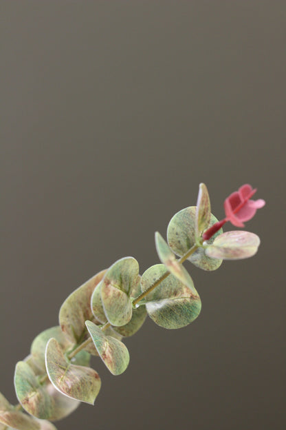 Weathered Sage Eucalyptus Stem