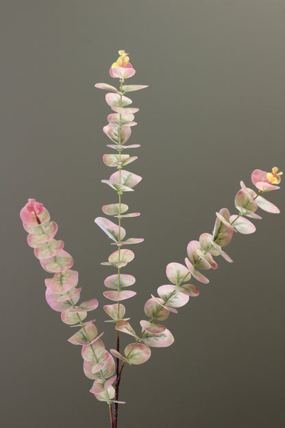 Blush & Sage Eucalyptus Stem