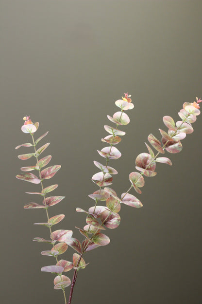 Olive & Umber Eucalyptus Stem