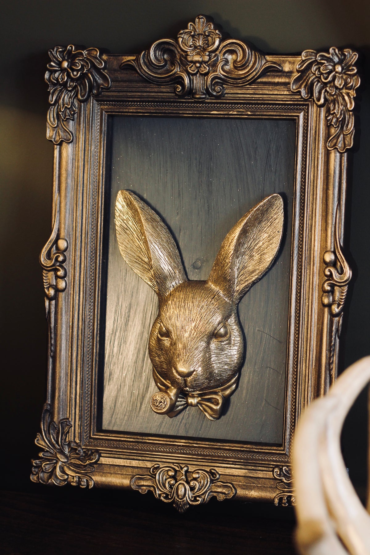 Framed Rabbit Wall Art portrait wall decoration