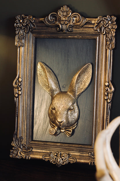 Framed Rabbit Wall Art portrait wall decoration