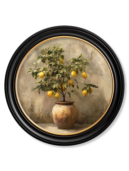 Mediterranean Lemon Tree – Oxford Round Frame detail – Leya Buster Interiors