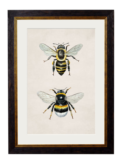 Honey and Bumble Bee detail – Leya Buster Interiors