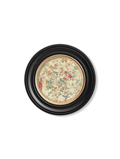 c.1820 Map of Constellations – Round Frame styled view – Leya Buster Interiors