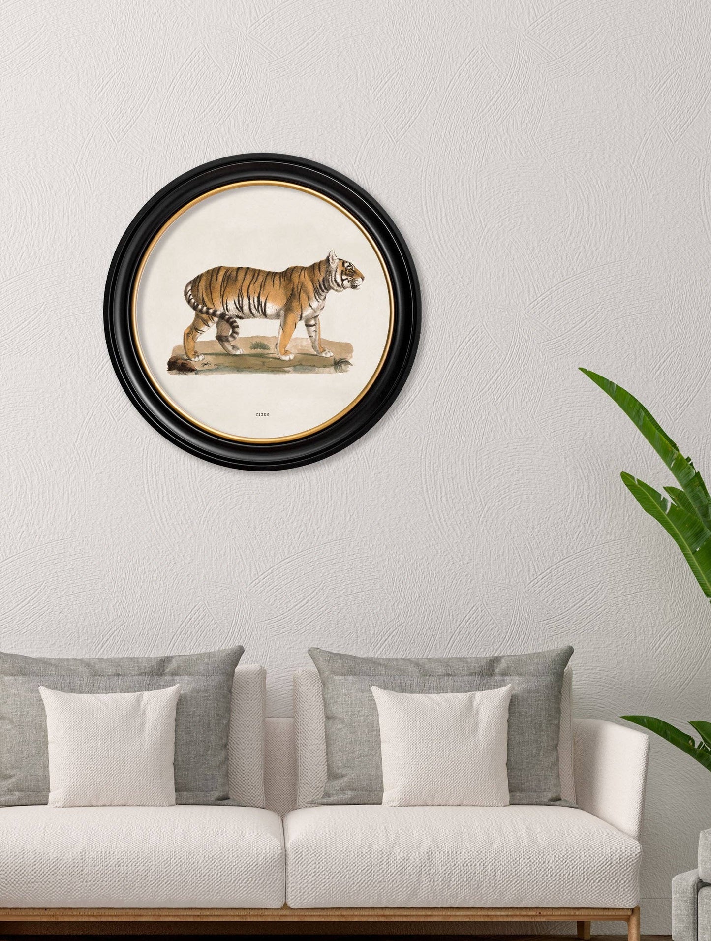 Tiger Round Framed Picture