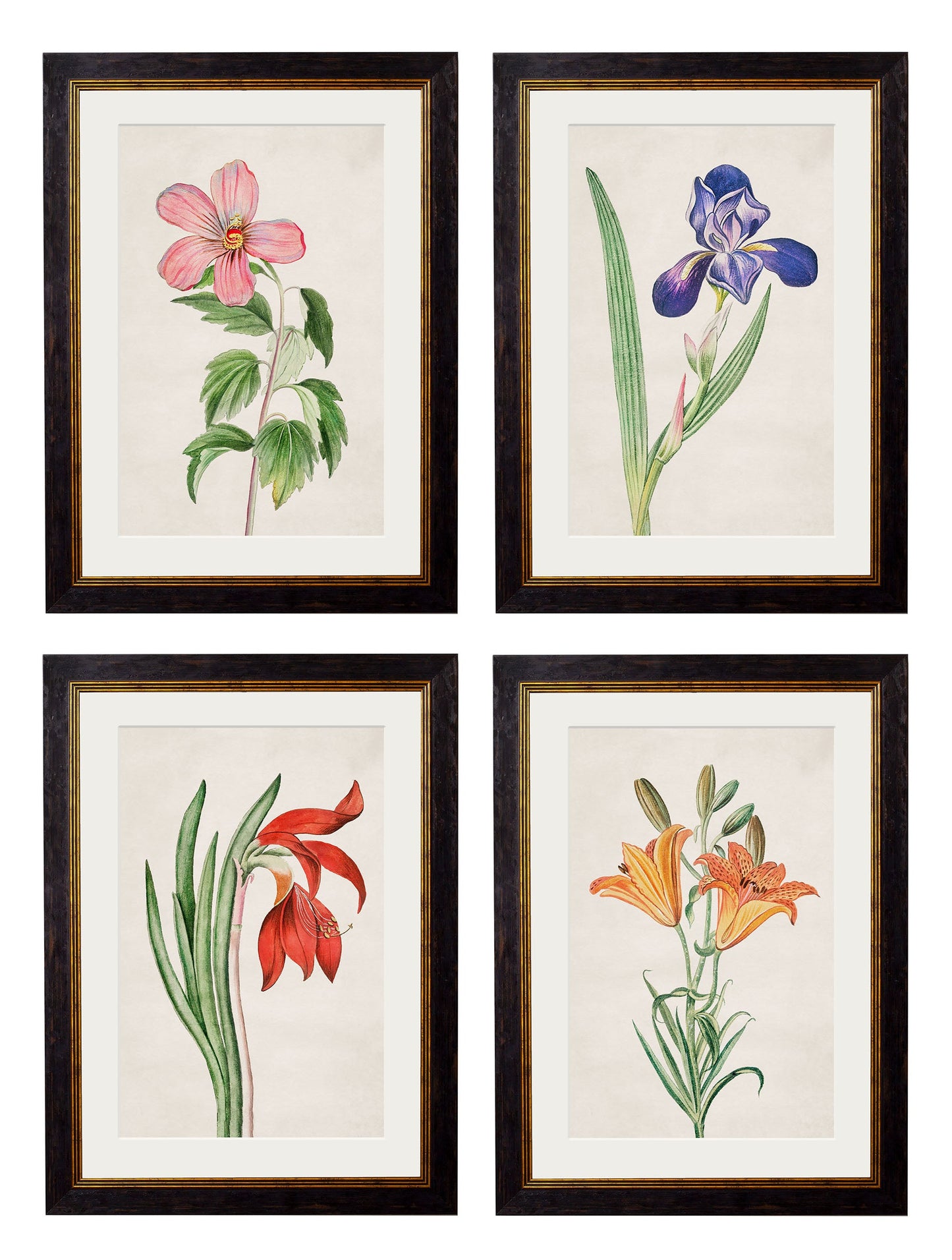 c.1780 Flowering Plants detail – Leya Buster Interiors