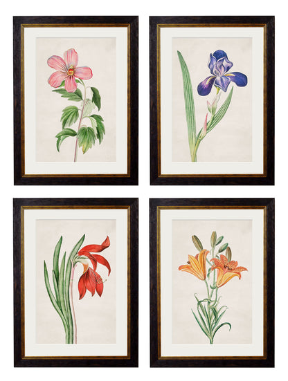 c.1780 Flowering Plants detail – Leya Buster Interiors
