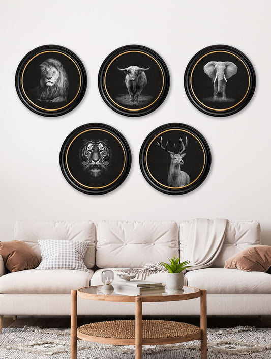 Wildlife Photography – Highland Cow – Round Frame – framed wall art at Leya Buster Interiors