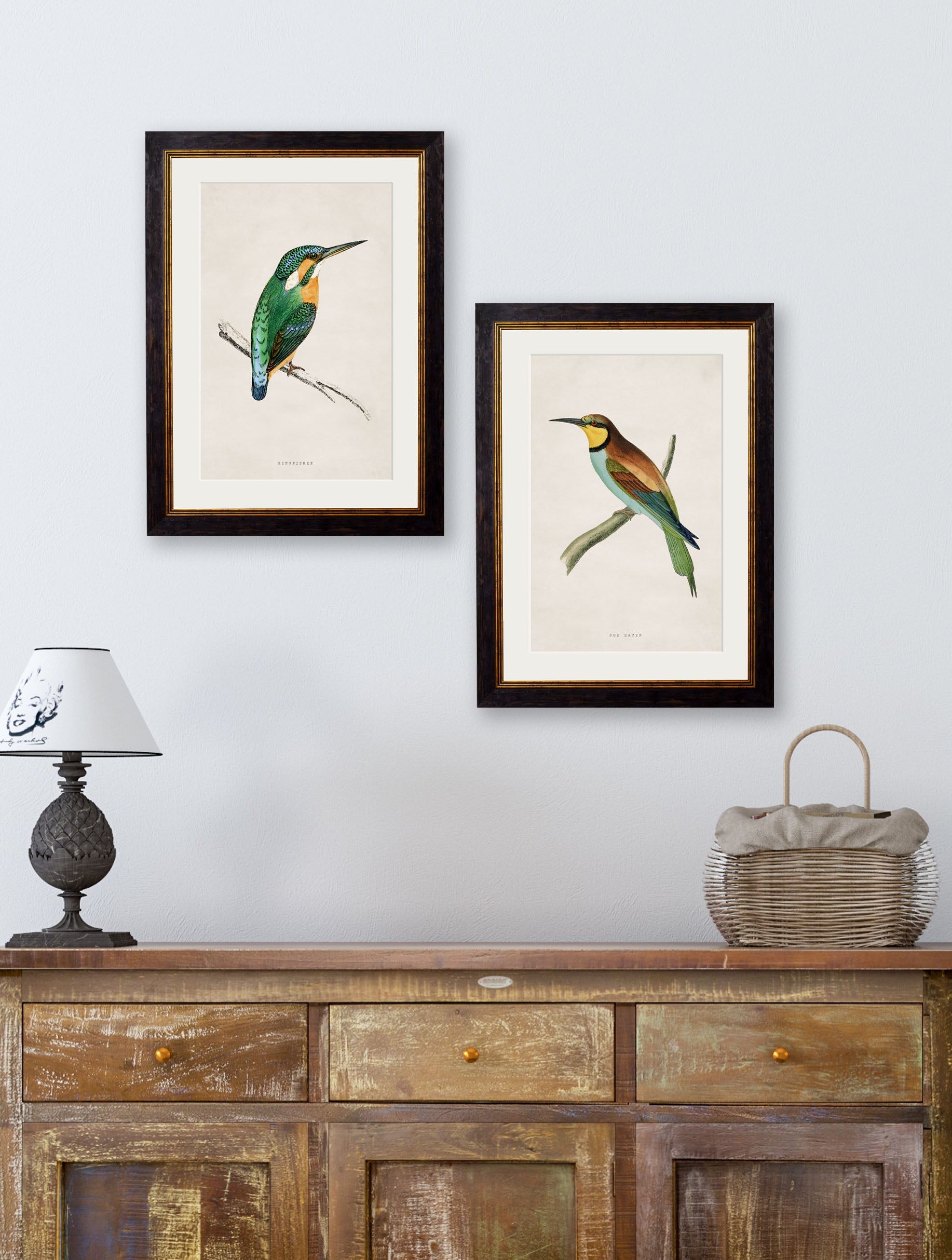 c.1870 Kingfisher & Bee Eater – framed wall art at Leya Buster Interiors