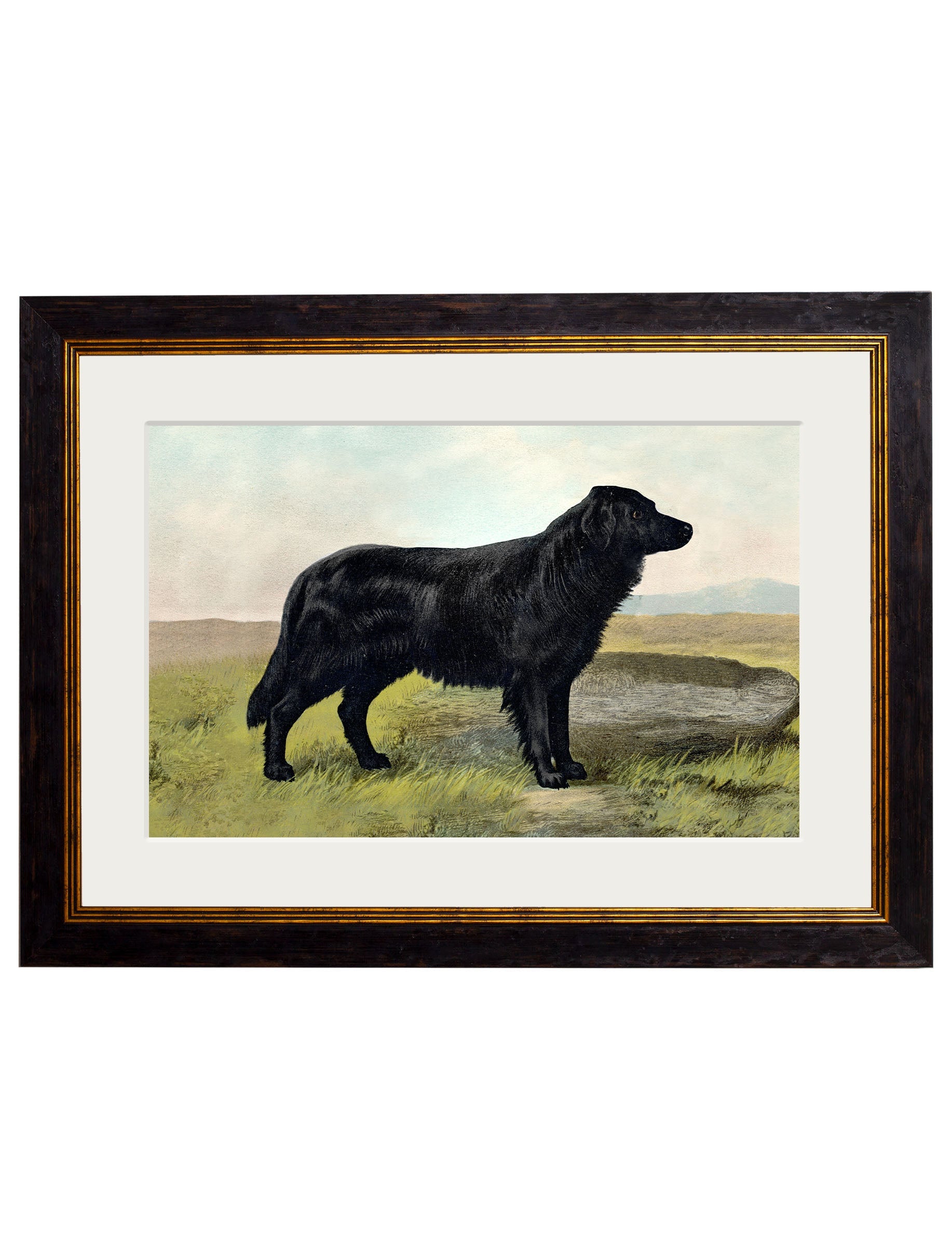 c.1881 Working Dogs styled view – Leya Buster Interiors