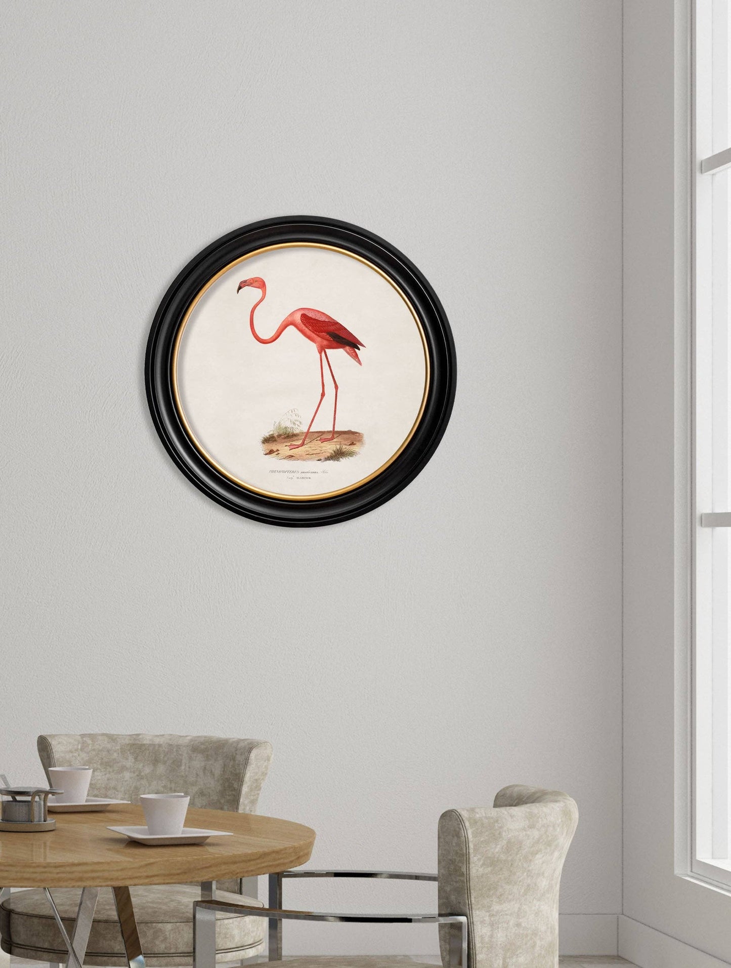 Pink Flamingo Round Framed Picture