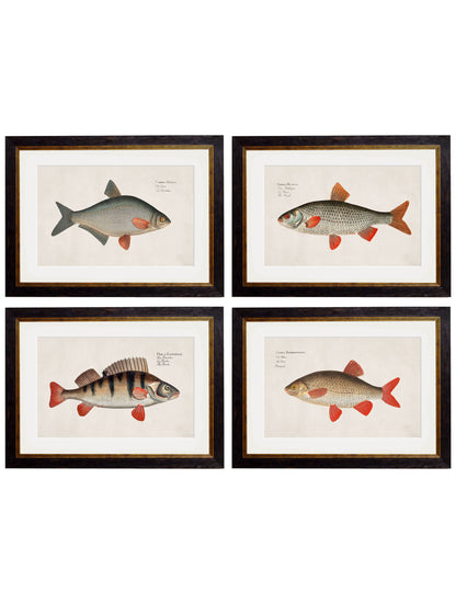 c.1785 Fresh Water Fish detail – Leya Buster Interiors