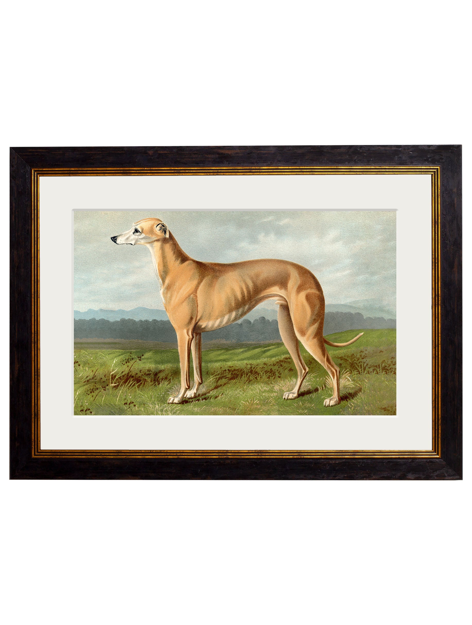 c.1881 Working Dogs styled view – Leya Buster Interiors