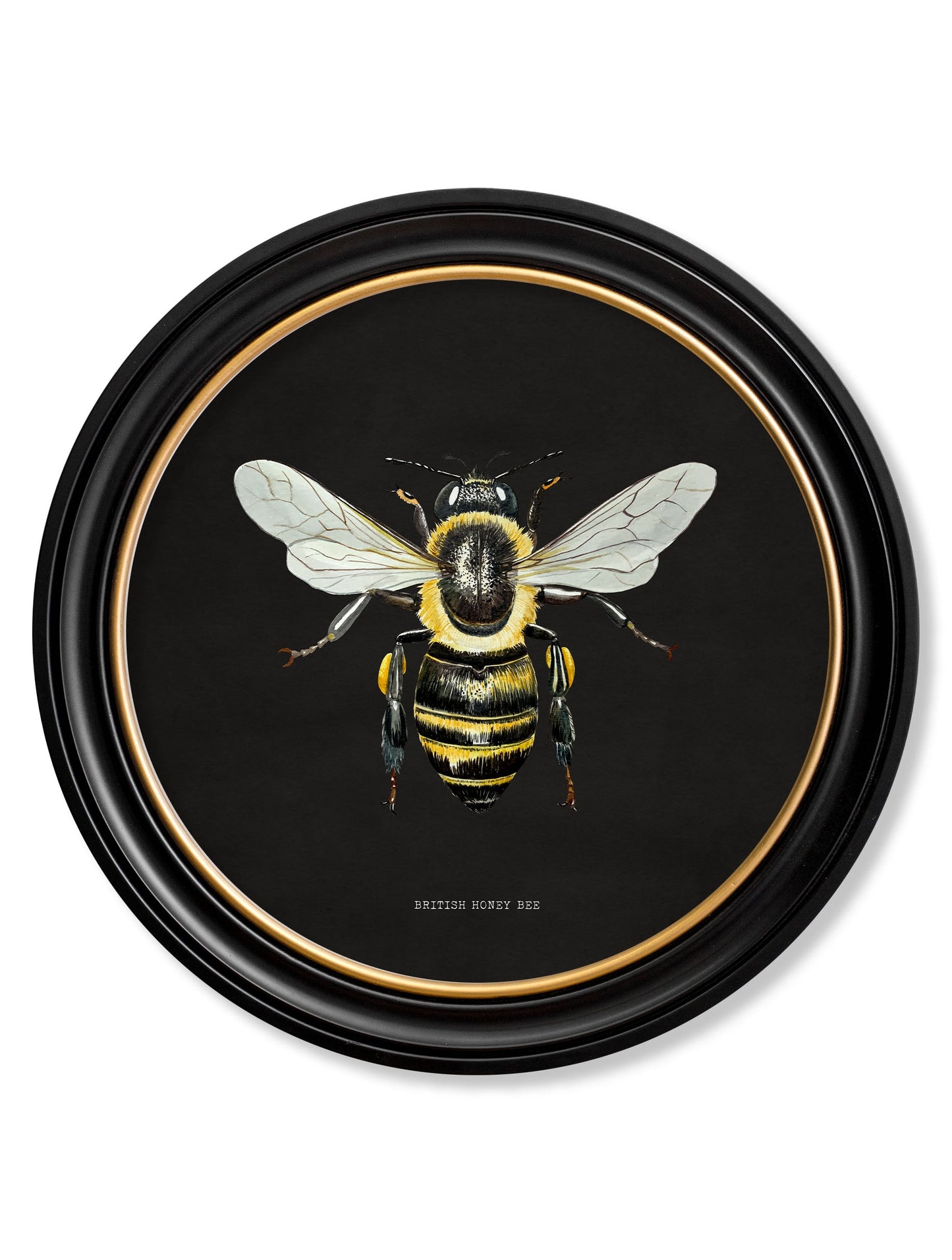 c892 British Bees Round Frame – Dark styled view – Leya Buster Interiors