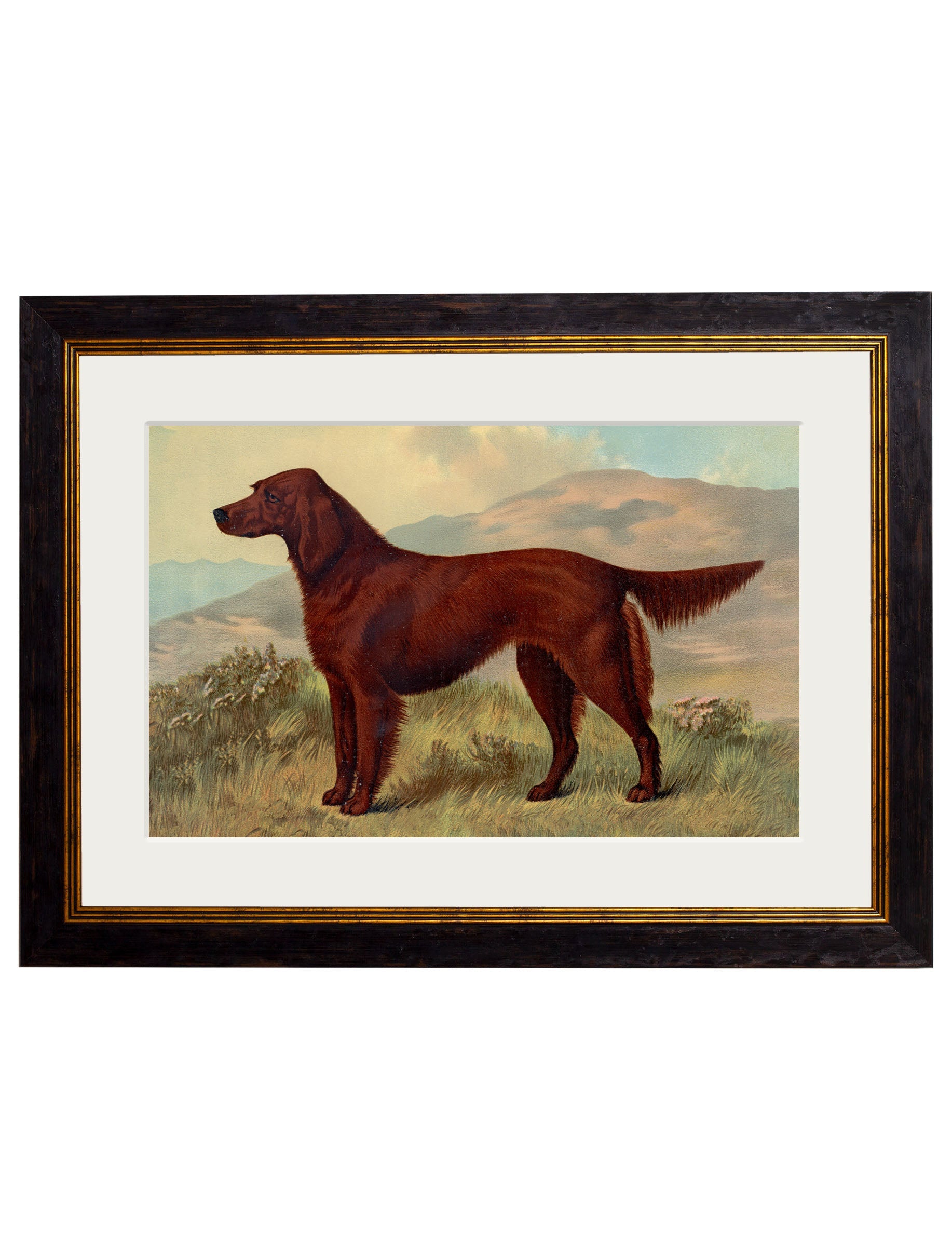 c.1881 Working Dogs styled view – Leya Buster Interiors