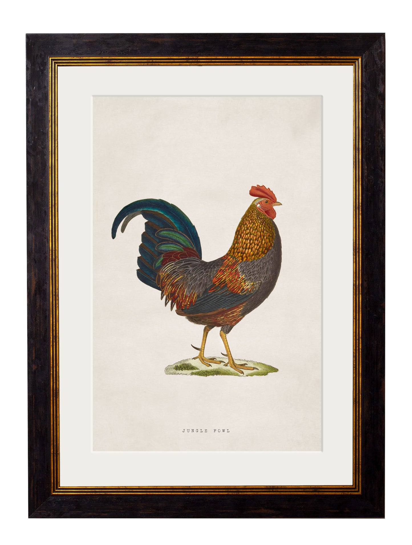 c.1838 Junglefowl styled view – Leya Buster Interiors