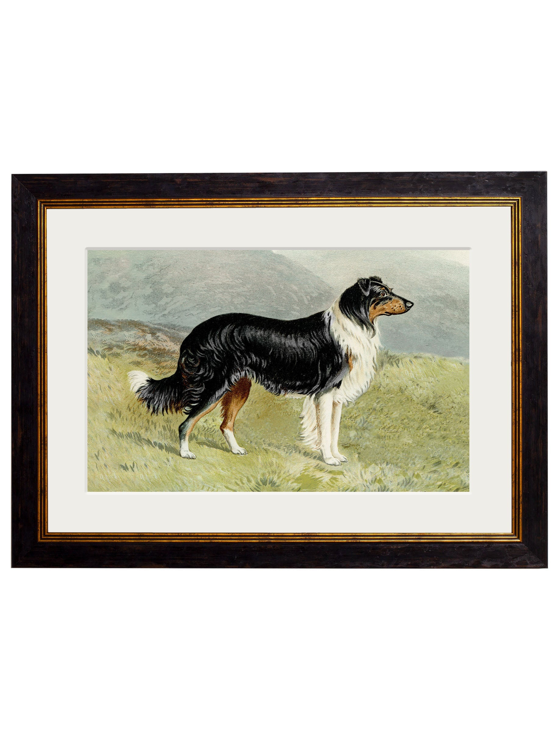 c.1881 Working Dogs styled view – Leya Buster Interiors
