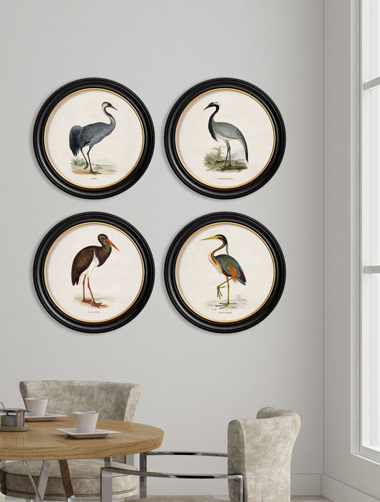 c.1870 Wading Birds in Round Frames – framed wall art at Leya Buster Interiors