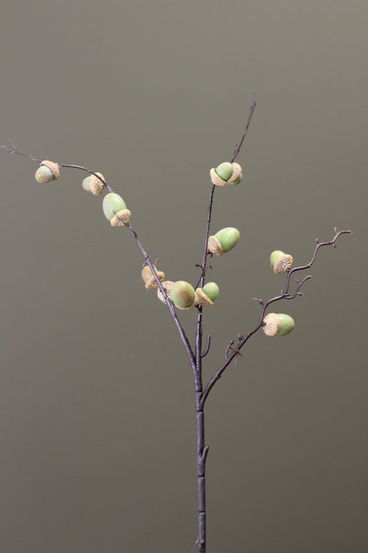 Woodland Acorn Branch – Green faux autumn branch with natural green acorn detail
