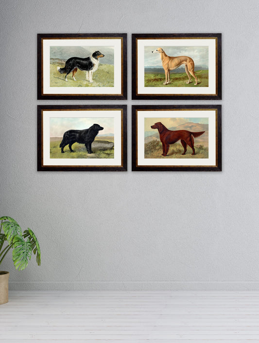 c.1881 Working Dogs – framed wall art at Leya Buster Interiors